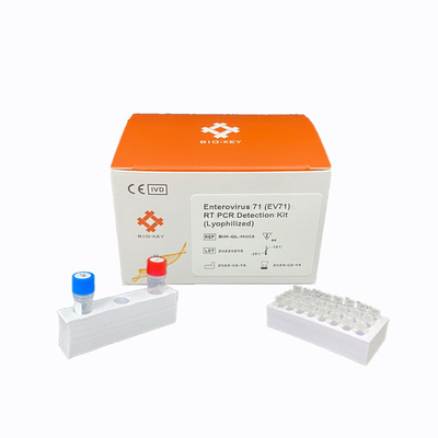 RT PCR Enterovirus 71 Rapid Test Kit Lyophilized DNA সনাক্তকরণ কিট