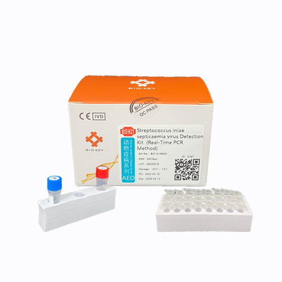 ফ্লুরোসেন্ট প্রোব স্ট্রেপ্টোকক্কাস টেস্ট কিট Ct38 PCR অ্যাকুয়াকালচার কিট
