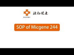 POCT রিয়েল টাইম কোয়ান্টিটিভ পিসিআর মেশিন 2 / 4 চ্যানেল 24 ওয়েল আণবিক নির্ণয়ের ডিভাইস