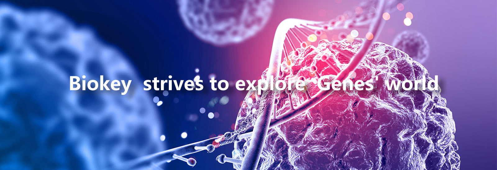 গুণ RT qPCR মেশিন কারখানা