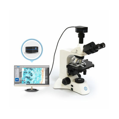 30° কমন থ্রি আই সিলিন্ডার উল্লম্ব মাইক্রোস্কোপ B60