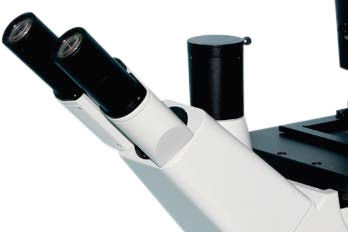 ৫-পজিশন নাকের টুকরো বিপরীত জৈবিক মাইক্রোস্কোপ B50i